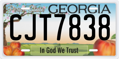 GA license plate CJT7838