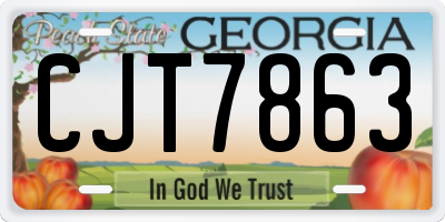 GA license plate CJT7863