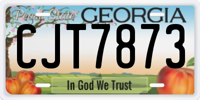 GA license plate CJT7873