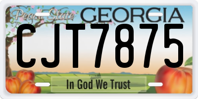 GA license plate CJT7875