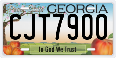 GA license plate CJT7900