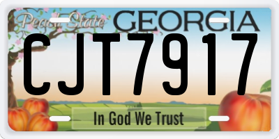 GA license plate CJT7917