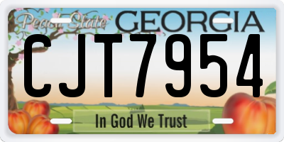 GA license plate CJT7954