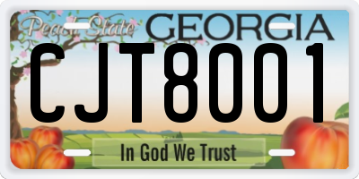 GA license plate CJT8001