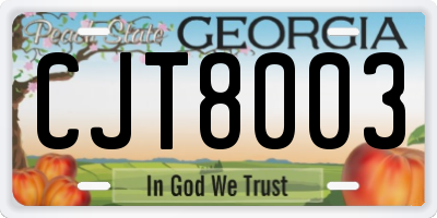 GA license plate CJT8003