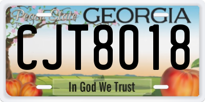 GA license plate CJT8018