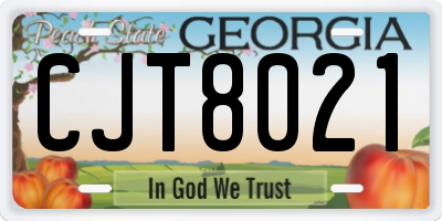GA license plate CJT8021