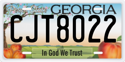 GA license plate CJT8022