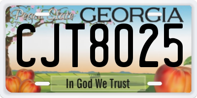 GA license plate CJT8025
