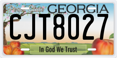 GA license plate CJT8027