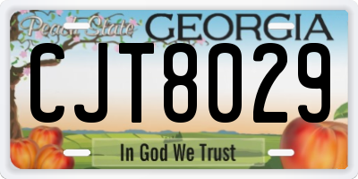 GA license plate CJT8029
