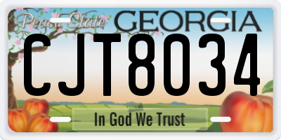 GA license plate CJT8034