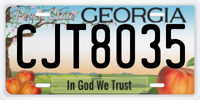GA license plate CJT8035