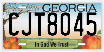 GA license plate CJT8045