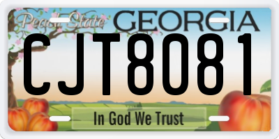 GA license plate CJT8081