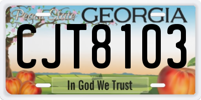 GA license plate CJT8103