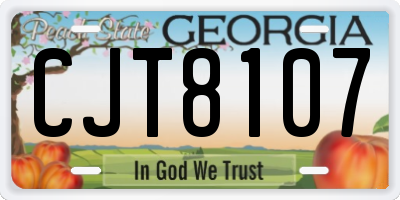 GA license plate CJT8107