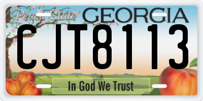 GA license plate CJT8113