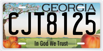 GA license plate CJT8125