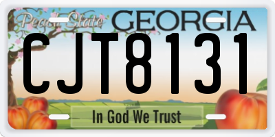 GA license plate CJT8131