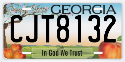 GA license plate CJT8132