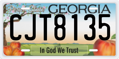 GA license plate CJT8135