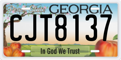 GA license plate CJT8137