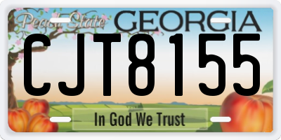 GA license plate CJT8155