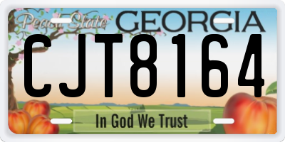 GA license plate CJT8164