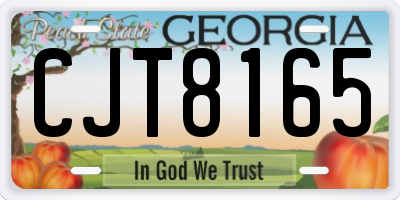GA license plate CJT8165