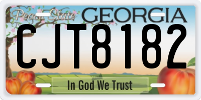 GA license plate CJT8182