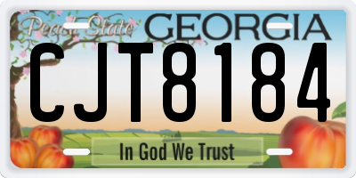 GA license plate CJT8184