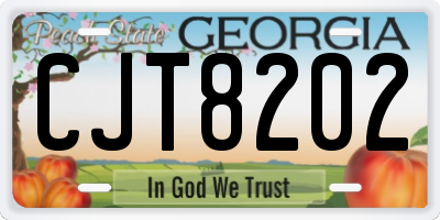 GA license plate CJT8202