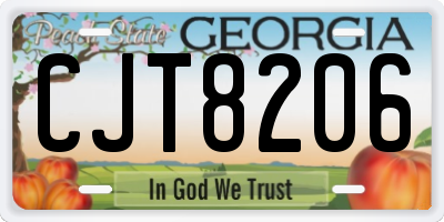 GA license plate CJT8206