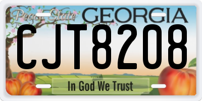 GA license plate CJT8208