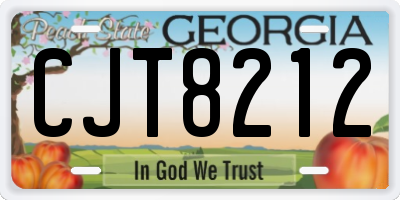 GA license plate CJT8212