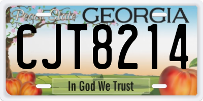 GA license plate CJT8214