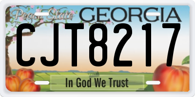 GA license plate CJT8217