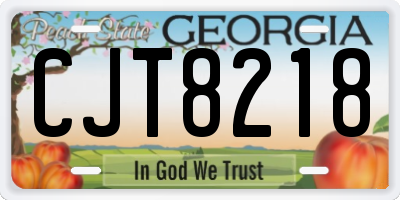 GA license plate CJT8218