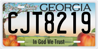 GA license plate CJT8219