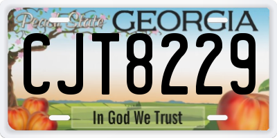 GA license plate CJT8229