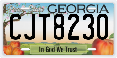 GA license plate CJT8230