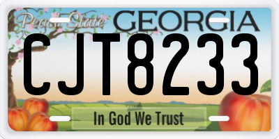 GA license plate CJT8233