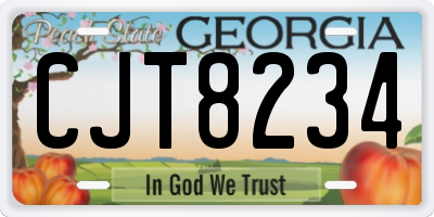 GA license plate CJT8234