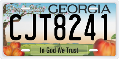 GA license plate CJT8241