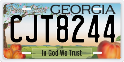 GA license plate CJT8244