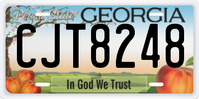 GA license plate CJT8248