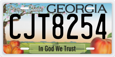 GA license plate CJT8254