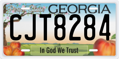 GA license plate CJT8284