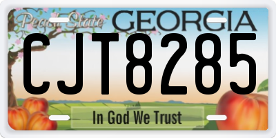 GA license plate CJT8285